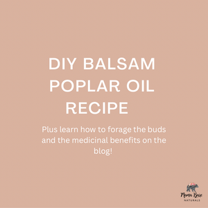 DIY Recipe for Balsam Poplar Bud Oil