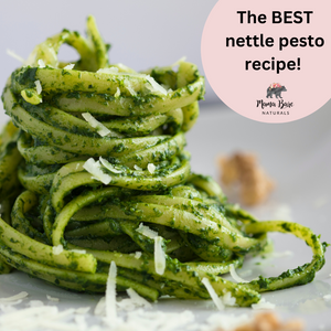 The BEST stinging nettle pesto recipe!