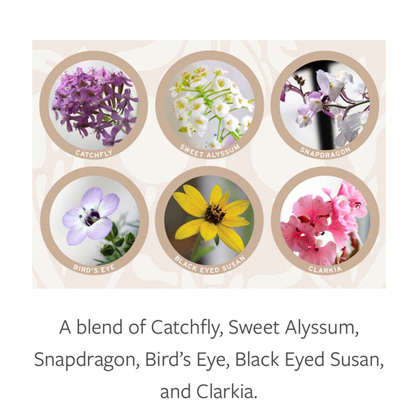 Plantable Seed Card