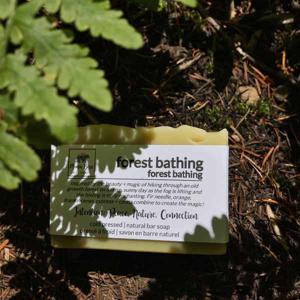 Forest Bathing