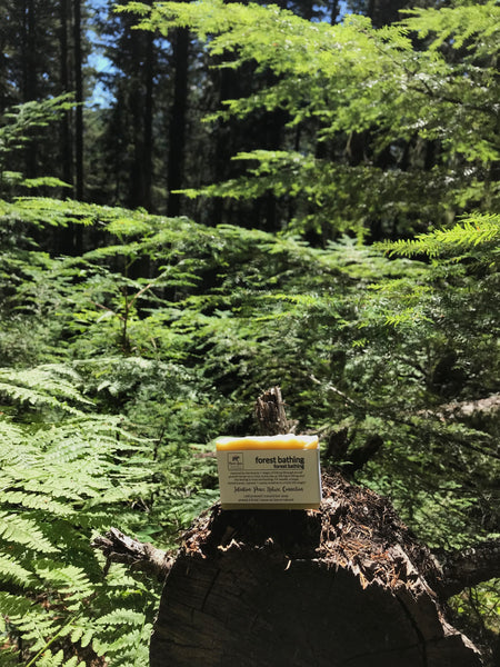 Forest Bathing